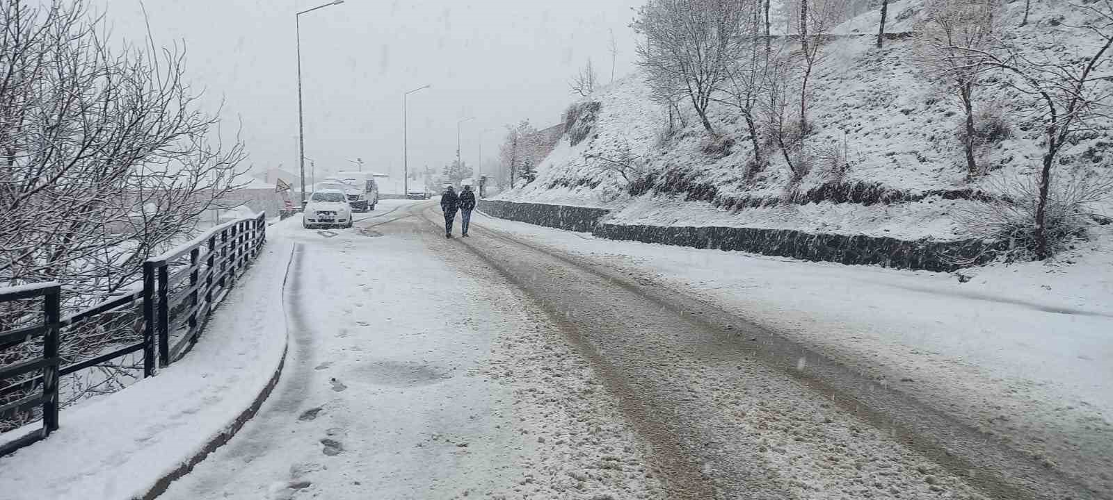 Tunceli’de kar yağışı etkili olmaya başladı
