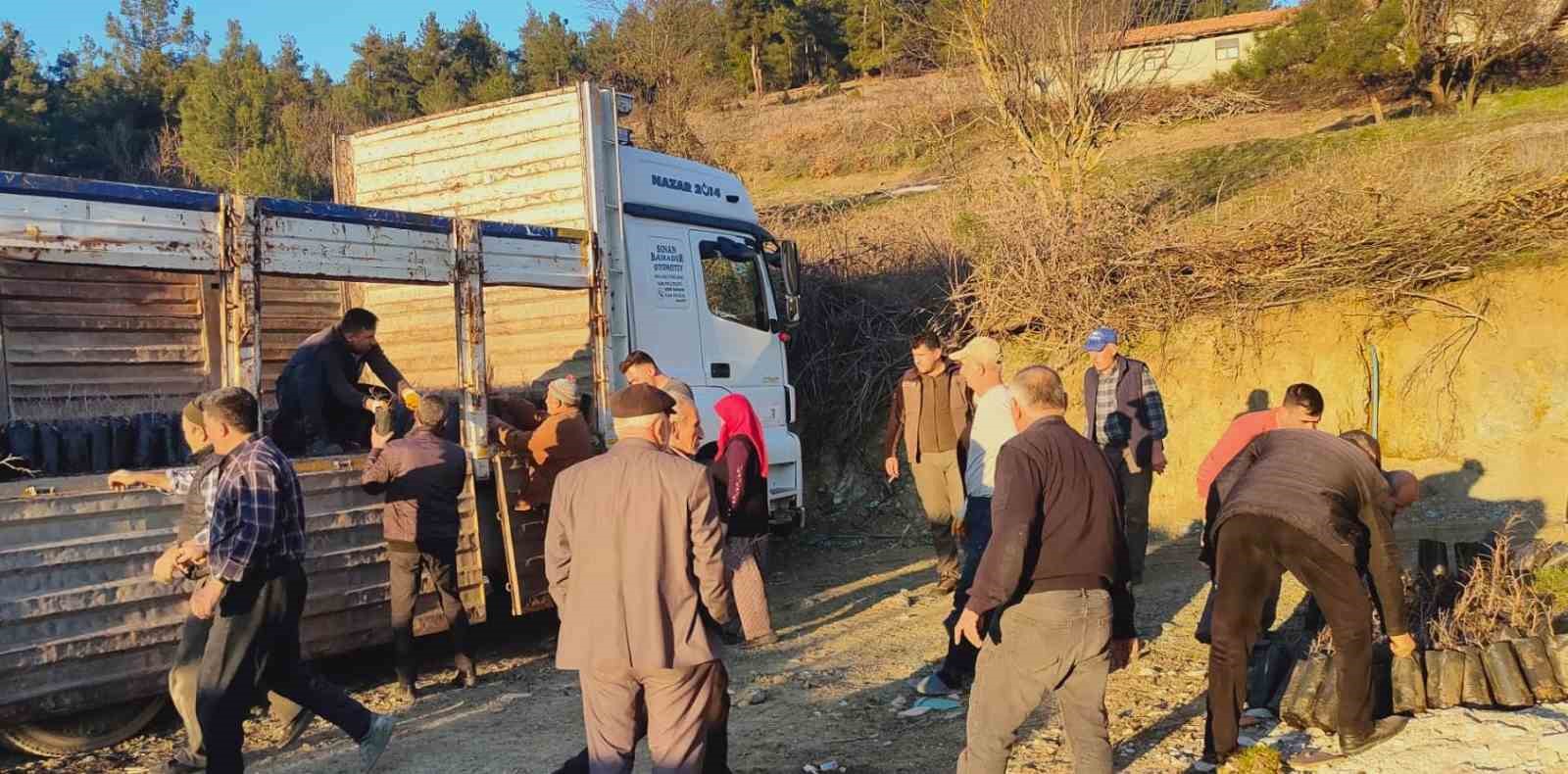 Tavşanlı&rsquo;da k&ouml;yl&uuml;lere 750 h&uuml;nnap fidanı dağıtıldı
