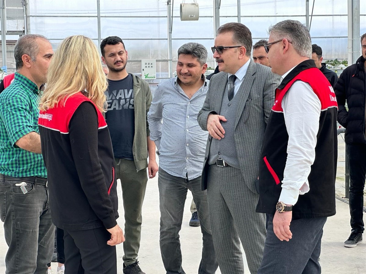 Edremit &ouml;rt&uuml; altı tarımın merkezi olma yolunda

