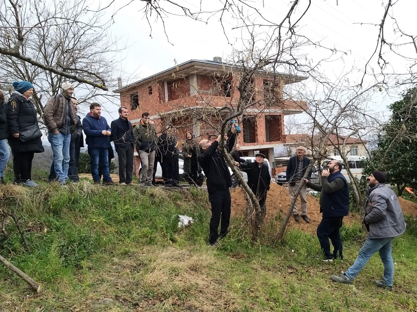 Görele’de fındıkta verimin artırılması için uygulamalı fındık bahçesi kuruldu