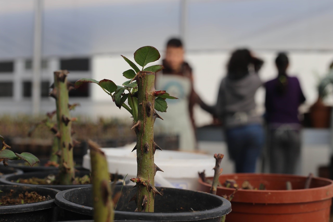 Eğitimden &uuml;retime giden tarım yolculuğu
