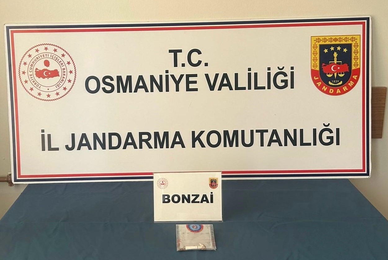 Osmaniye’de jandarmadan uyuşturucu ve kaçakçılık operasyonları: 25 gözaltı