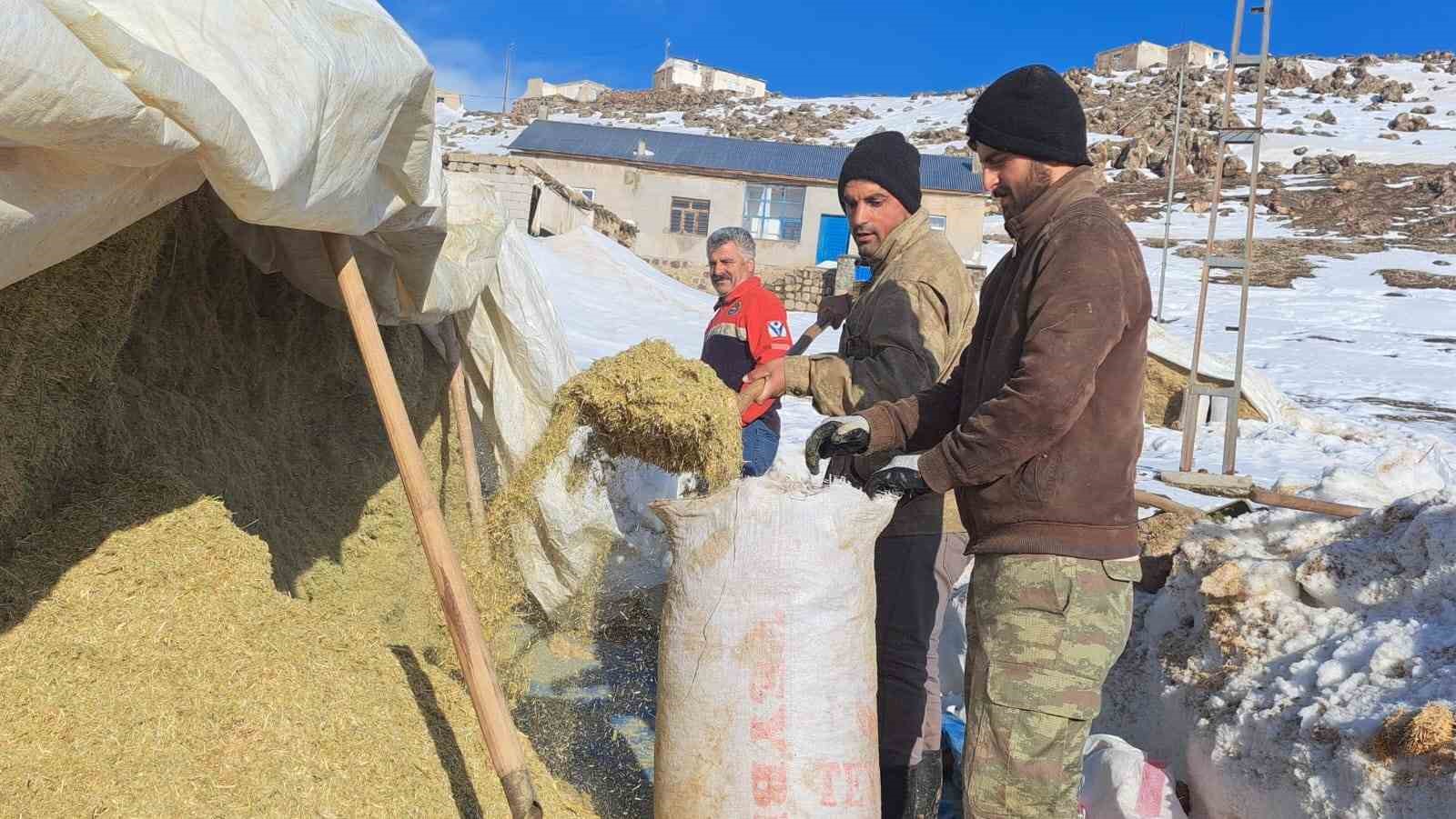 T&uuml;rkiye&rsquo;nin en y&uuml;ksek rakımlı k&ouml;y&uuml;nde zorlu hayvancılık
