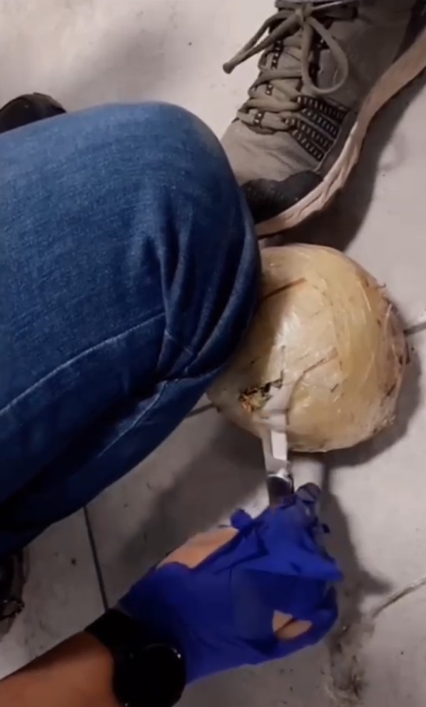 Köpük basınç makinesi içinden esrar çıktı
