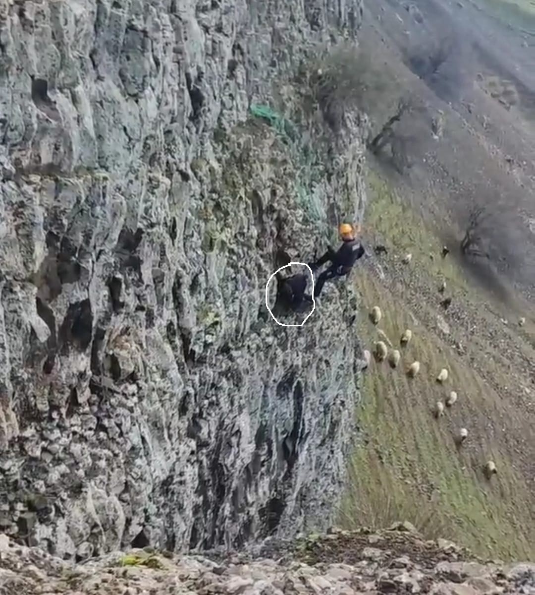 Batman’da 5 gün kayalıklarda mahsur kalan keçi kurtarıldı