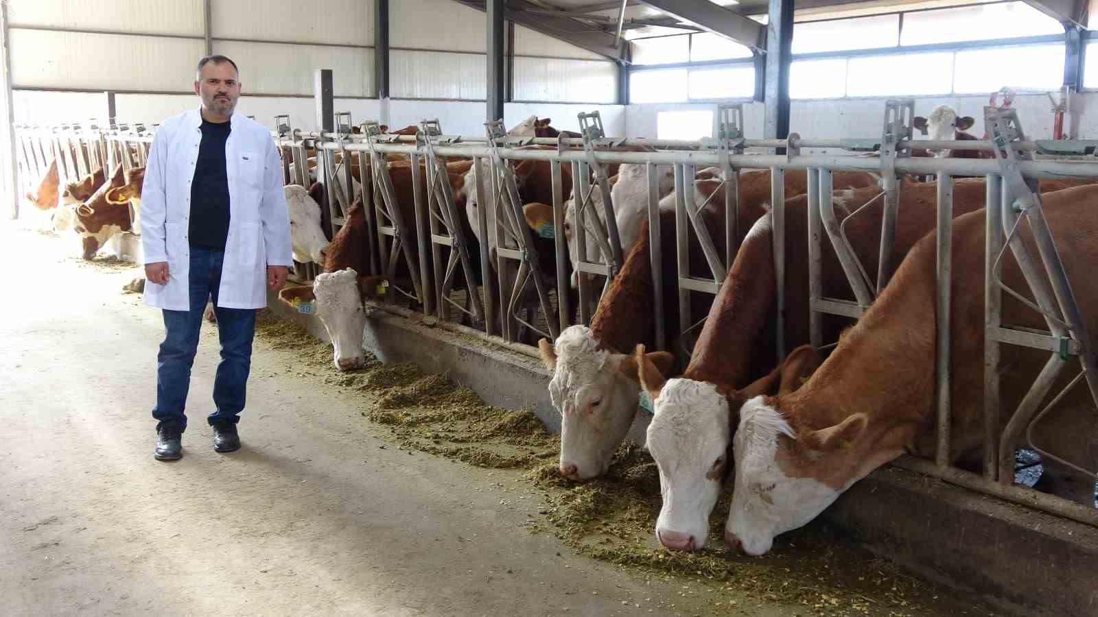 Devlet desteğiyle kurduğu b&uuml;y&uuml;kbaş hayvan &ccedil;iftliğinin elektrik giderlerini GES ile karşılıyor
