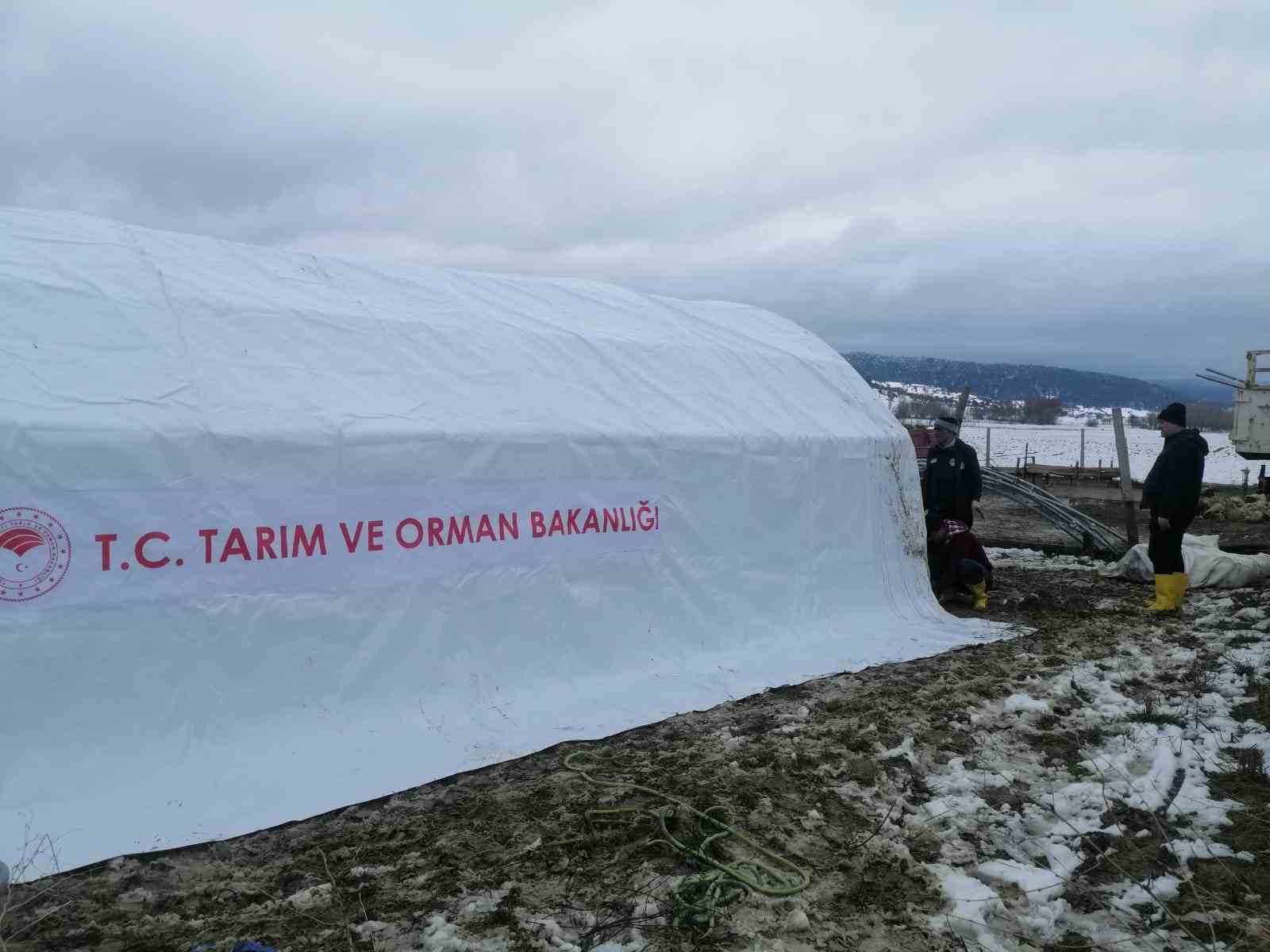 Aslanapa&rsquo;da hayvan ağılı g&ouml;&ccedil;en yetiştiriciye İl Tarım M&uuml;d&uuml;rl&uuml;ğ&uuml;nden yardım eli
