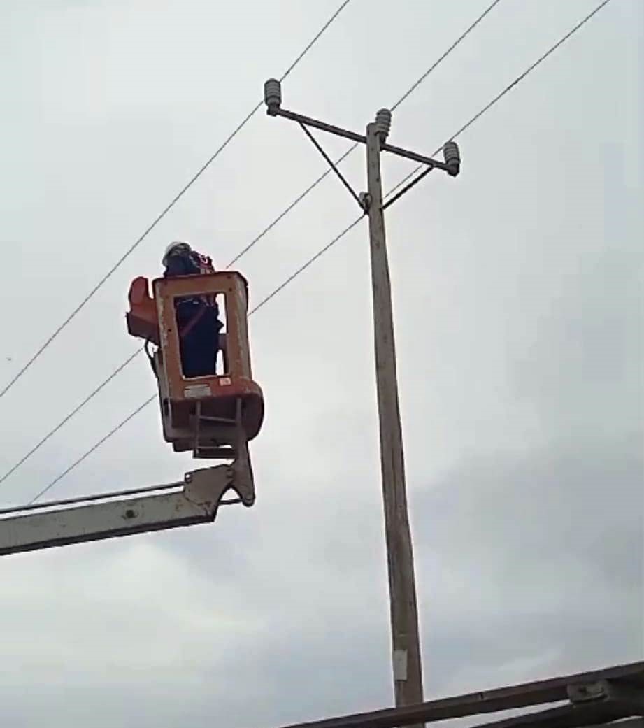 Elektrik direğinde mahsur kalan kediyi VEDAŞ ekipleri kurtardı
