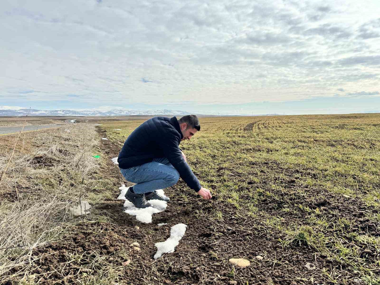 Ağrı&rsquo;da &ouml;ğrencilere "Gıda G&uuml;venilirliği" eğitimi verildi
