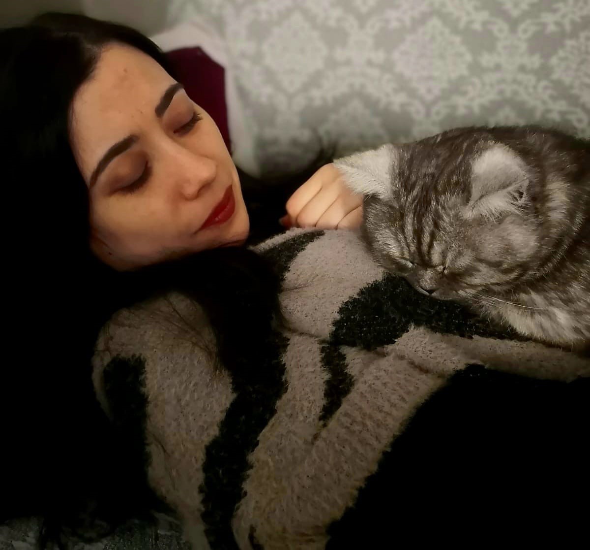 Tavşanlı il&ccedil;esinde kayıp olarak aranan kedi 10 g&uuml;n sonra bulundu
