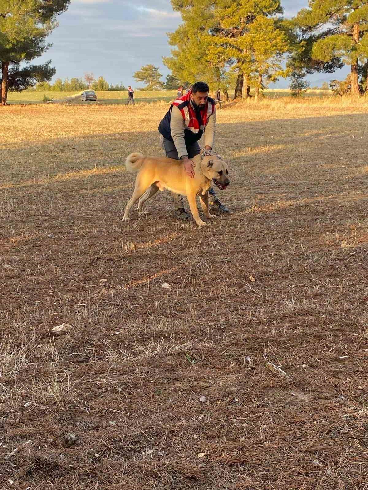 Burdur&rsquo;da k&ouml;pek d&ouml;v&uuml;ş&uuml; yaptıranlara y&ouml;nelik operasyon g&ouml;r&uuml;nt&uuml;leri ortaya &ccedil;ıktı
