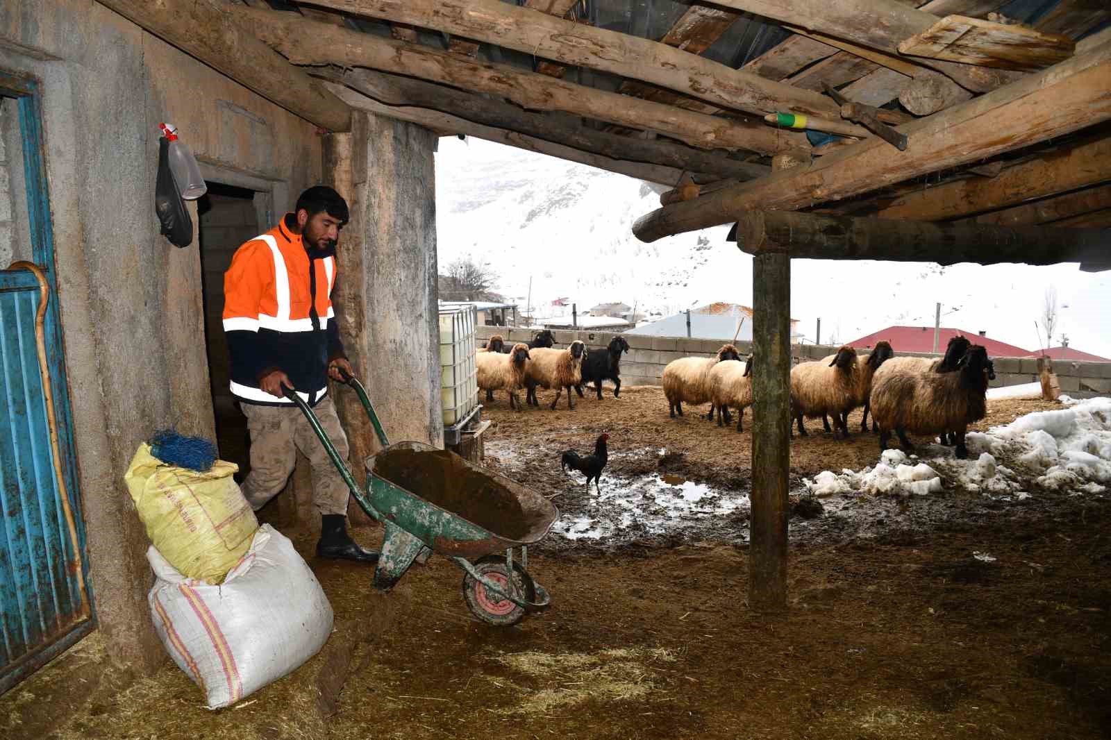 Beyt&uuml;şşebap&rsquo;ta besicilerin zorlu kış mesaisi s&uuml;r&uuml;yor
