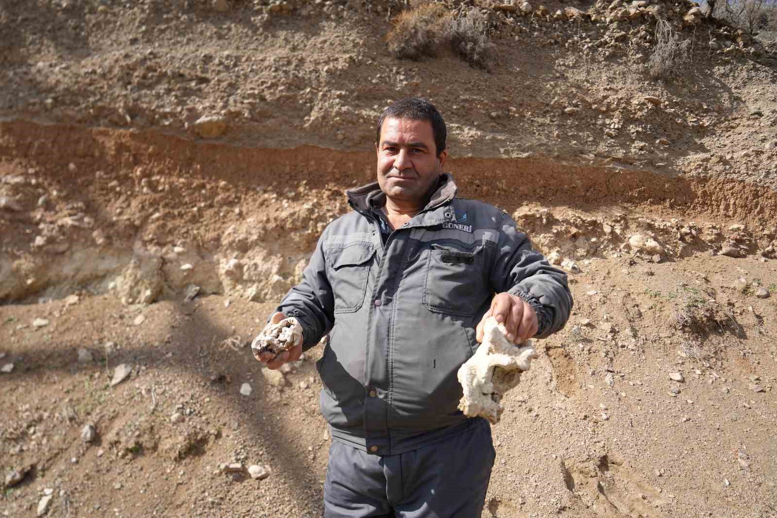 Niğde’de dinozor fosili iddiası