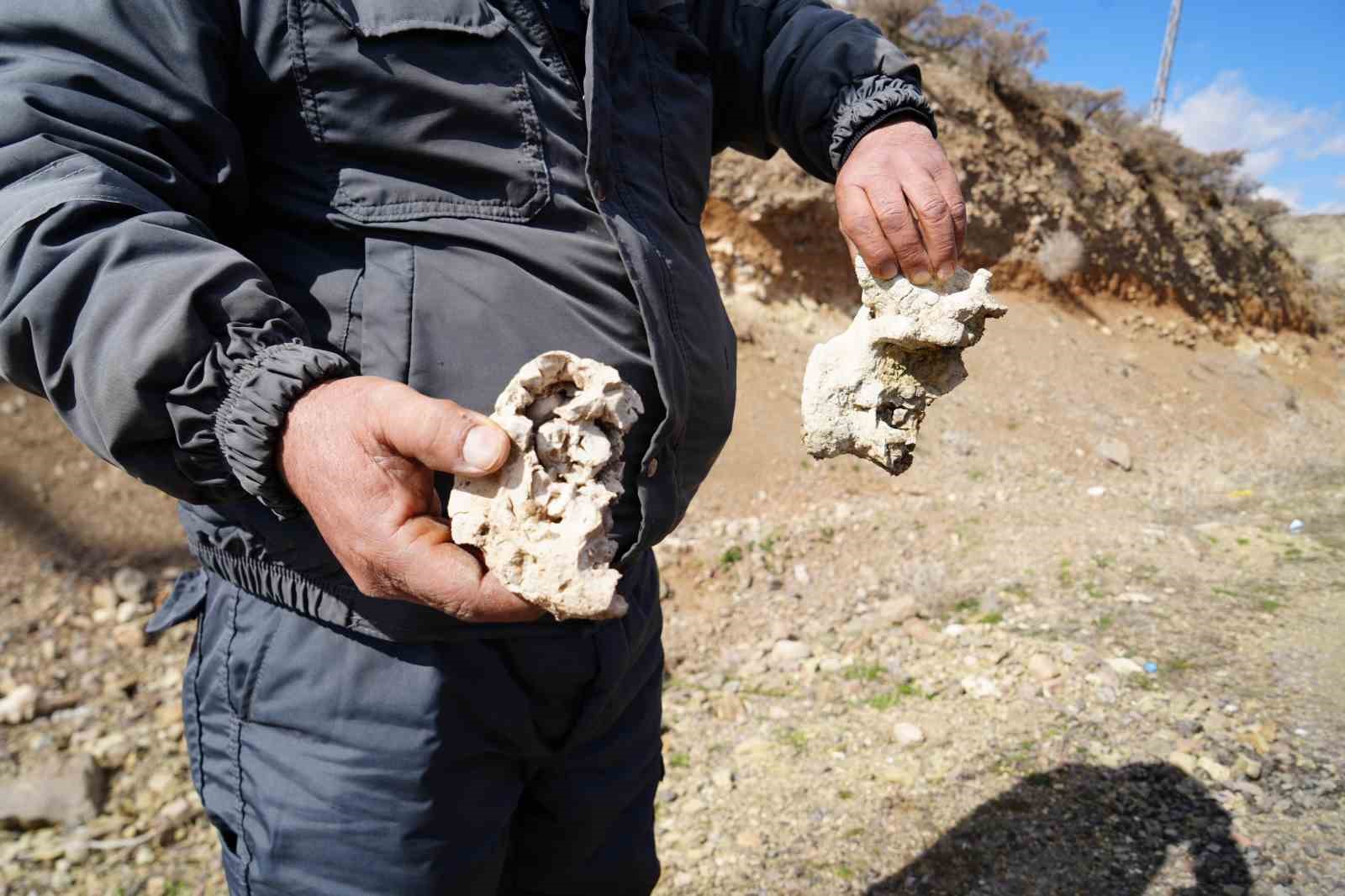 Niğde&rsquo;de dinozor fosili iddiası
