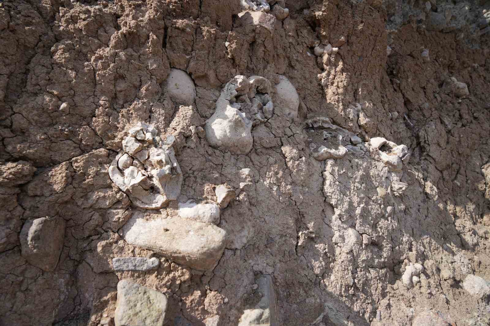 Niğde’deki dinozor fosili sanılan oluşumlar traverten taşı çıktı