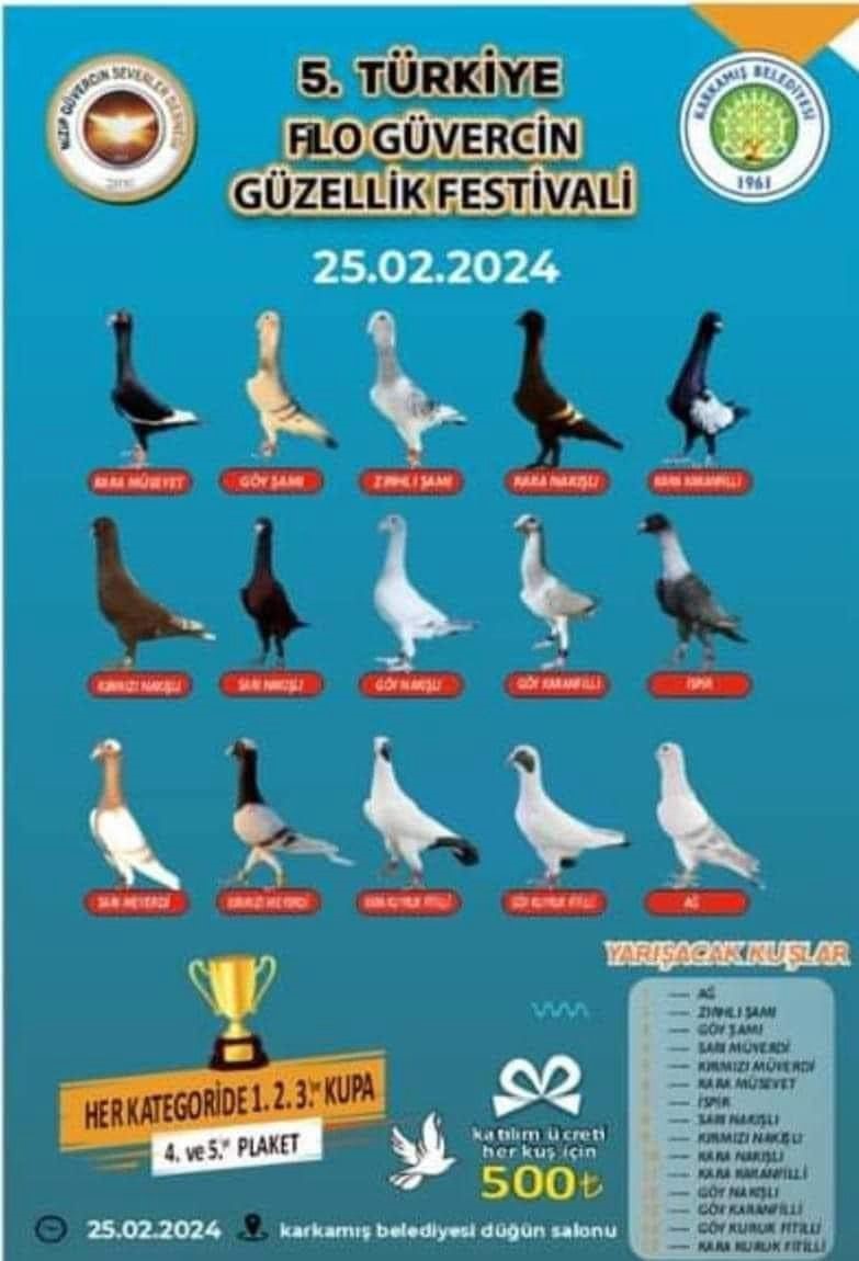 T&uuml;rkiye&rsquo;nin en g&uuml;zel g&uuml;vercinleri Karkamış&rsquo;ta g&ouml;r&uuml;c&uuml;ye &ccedil;ıktı
