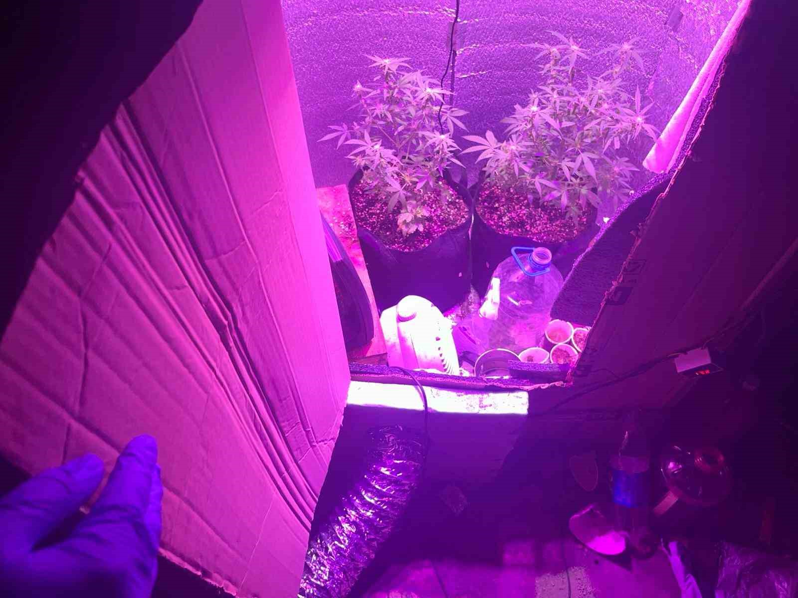 Zonguldak’ta 58 şüpheli yakalandı, 12 uyuşturucu operasyonu düzenlendi