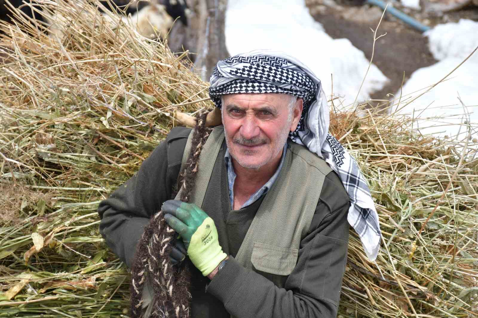 Şırnak’ta besiciler yemleri sırtlayarak hayvanlarını besliyor