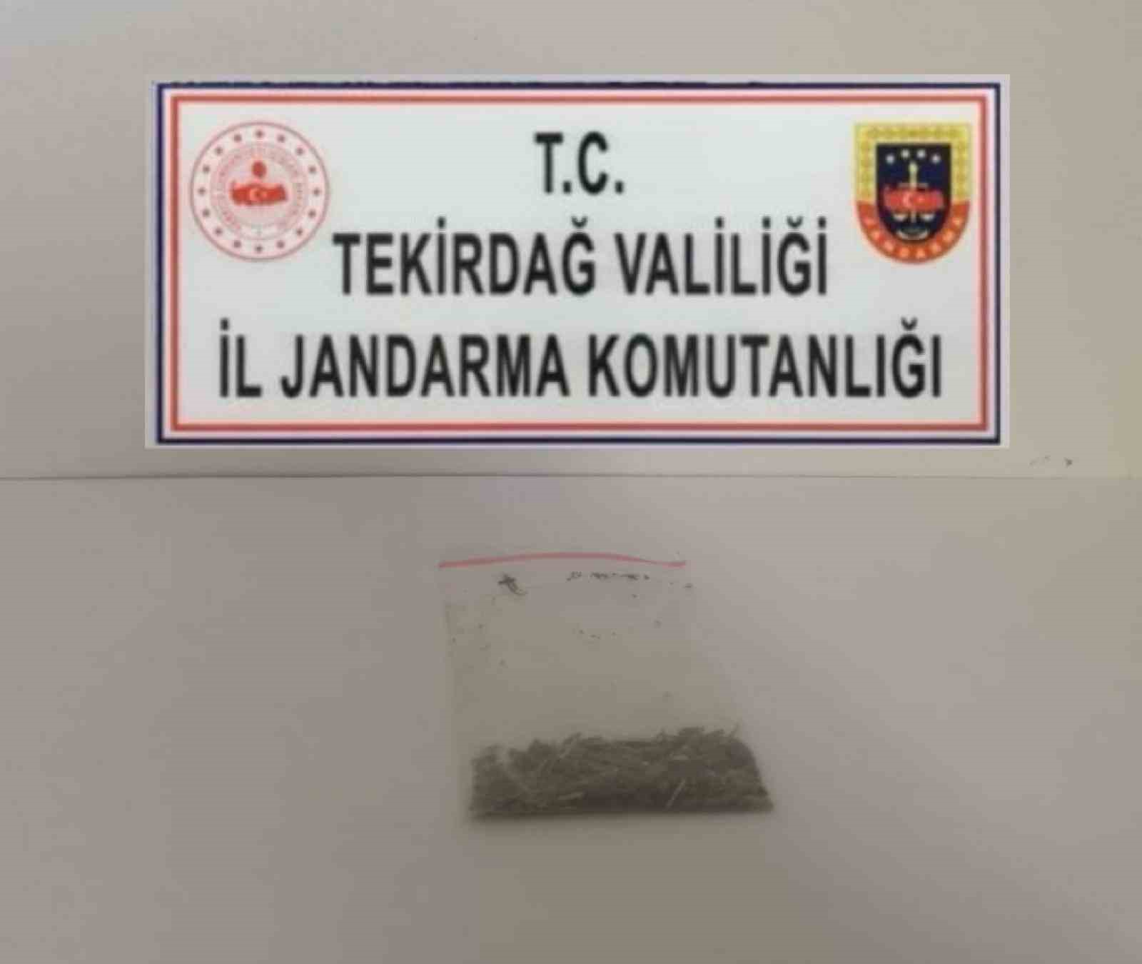 Tekirdağ&rsquo;da jandarma uygulamasında 11 ş&uuml;pheli yakalandı
