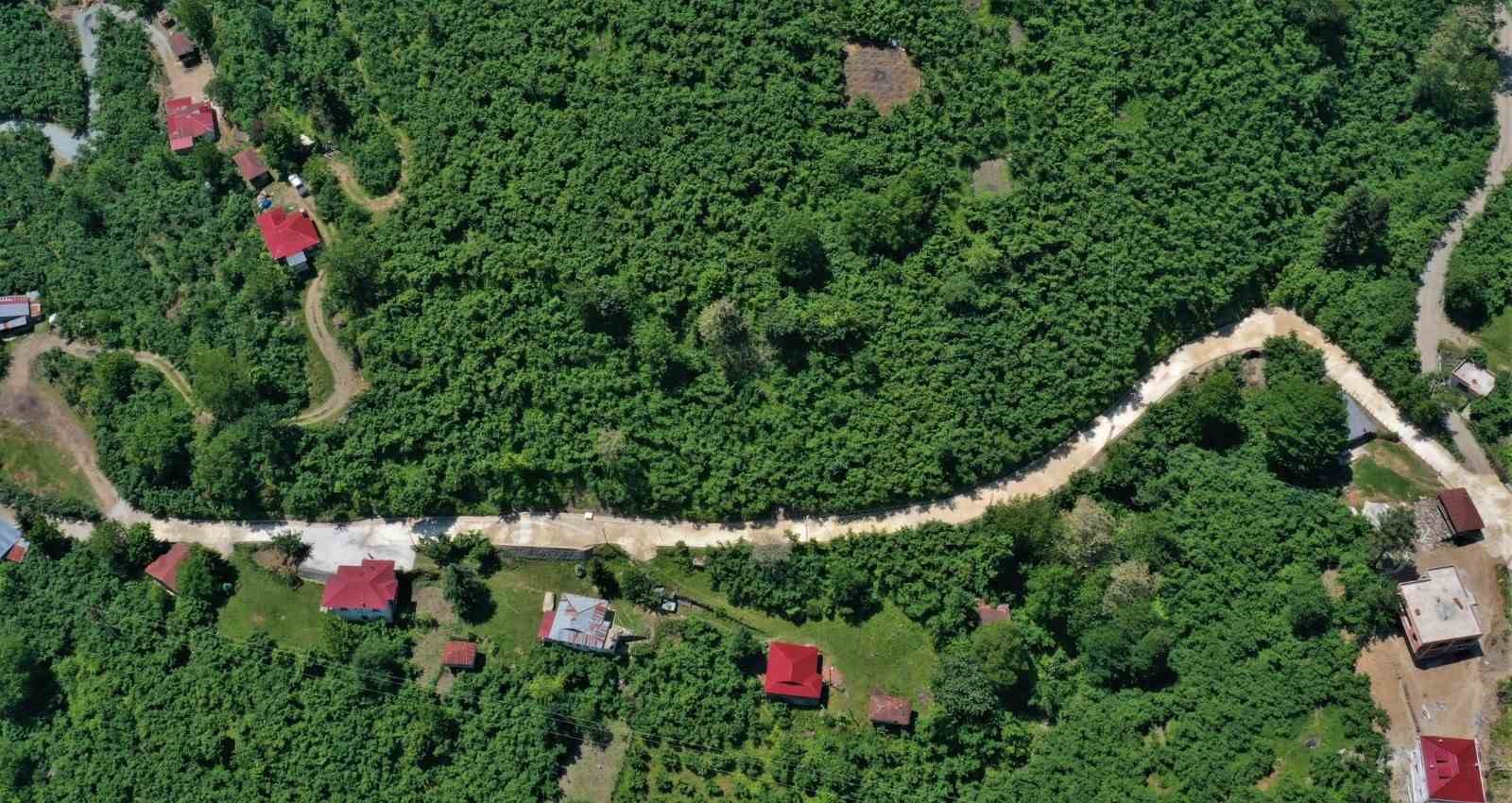 Altınordu’da sıcak asfalt ve beton yol çalışmaları sürüyor