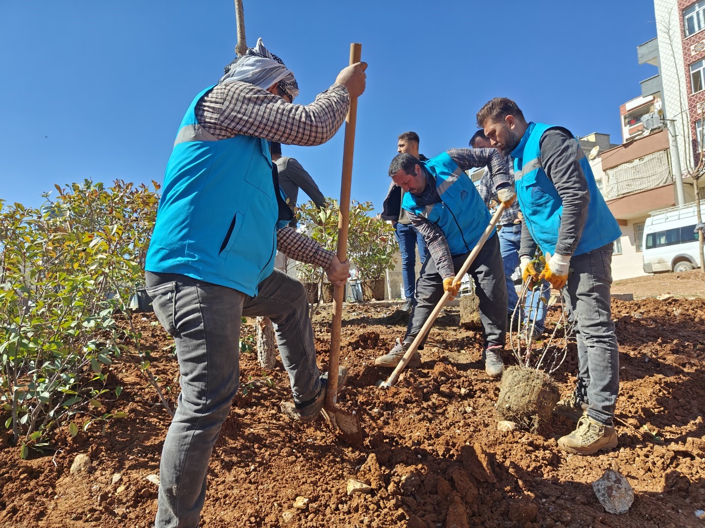 Eyy&uuml;biye&rsquo;de ağa&ccedil;landırma ve yeşillendirme &ccedil;alışmaları s&uuml;r&uuml;yor
