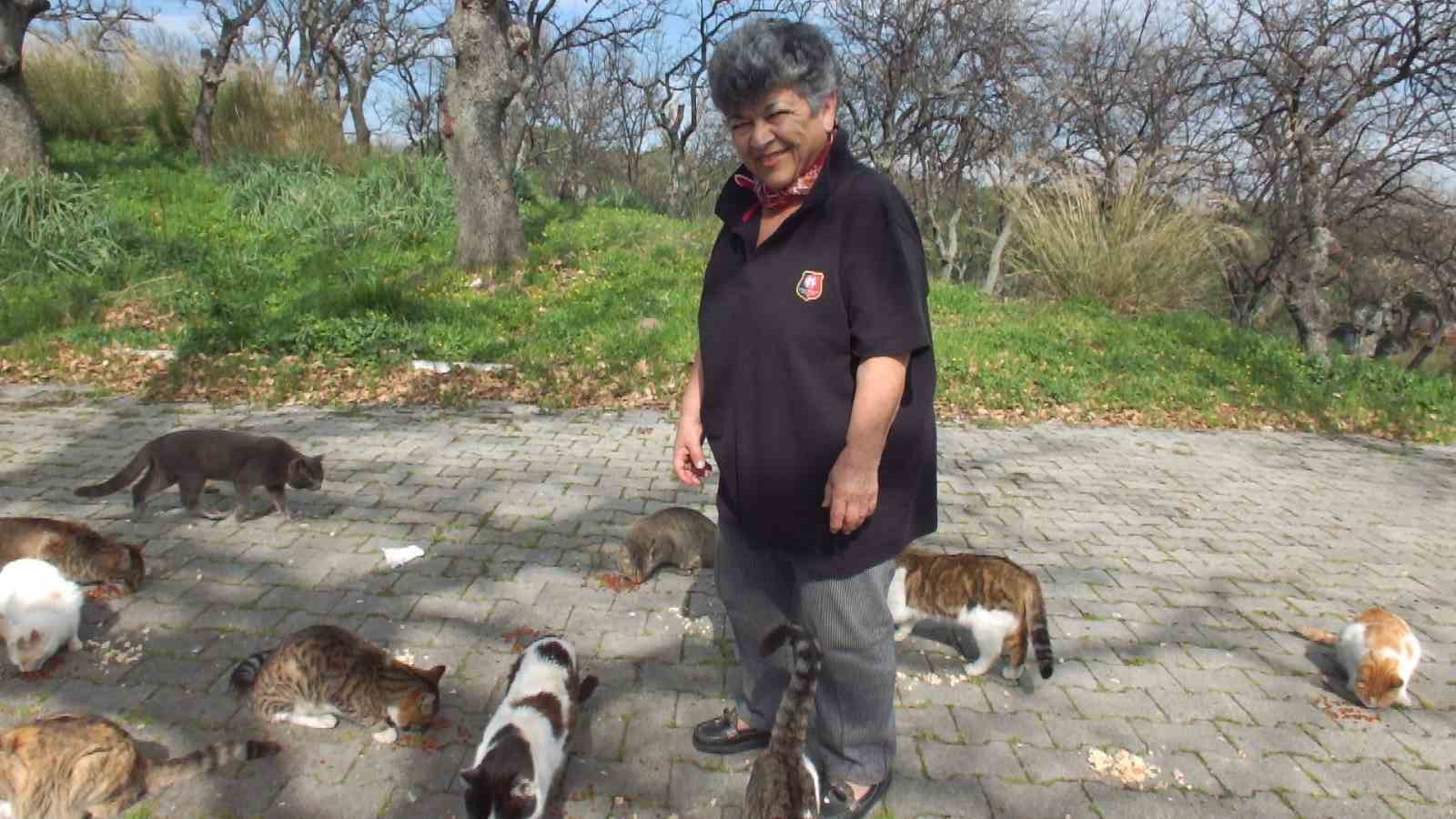 Balıkesir&rsquo;de emekli hemşire 20 yıldır sokak kedilerini besliyor
