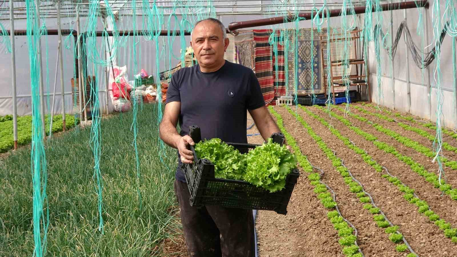 İnşaat işiyle uğraşıyordu, oğlunun tavsiyesi ile sera kurup üretime başladı 