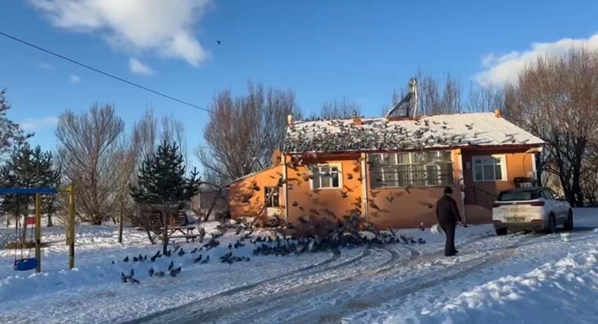 Güvercinlerile dost oldu, ömrünün yarısını onları besleyerek geçirdi