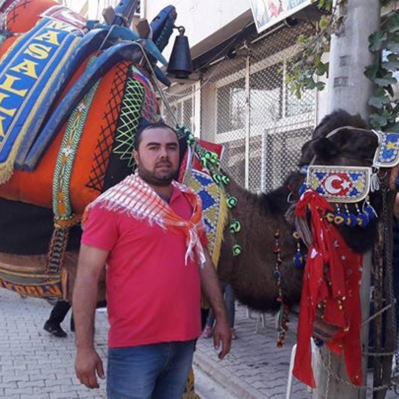 Sarıg&ouml;l&rsquo;de deve g&uuml;reşleri d&uuml;zenlenecek
