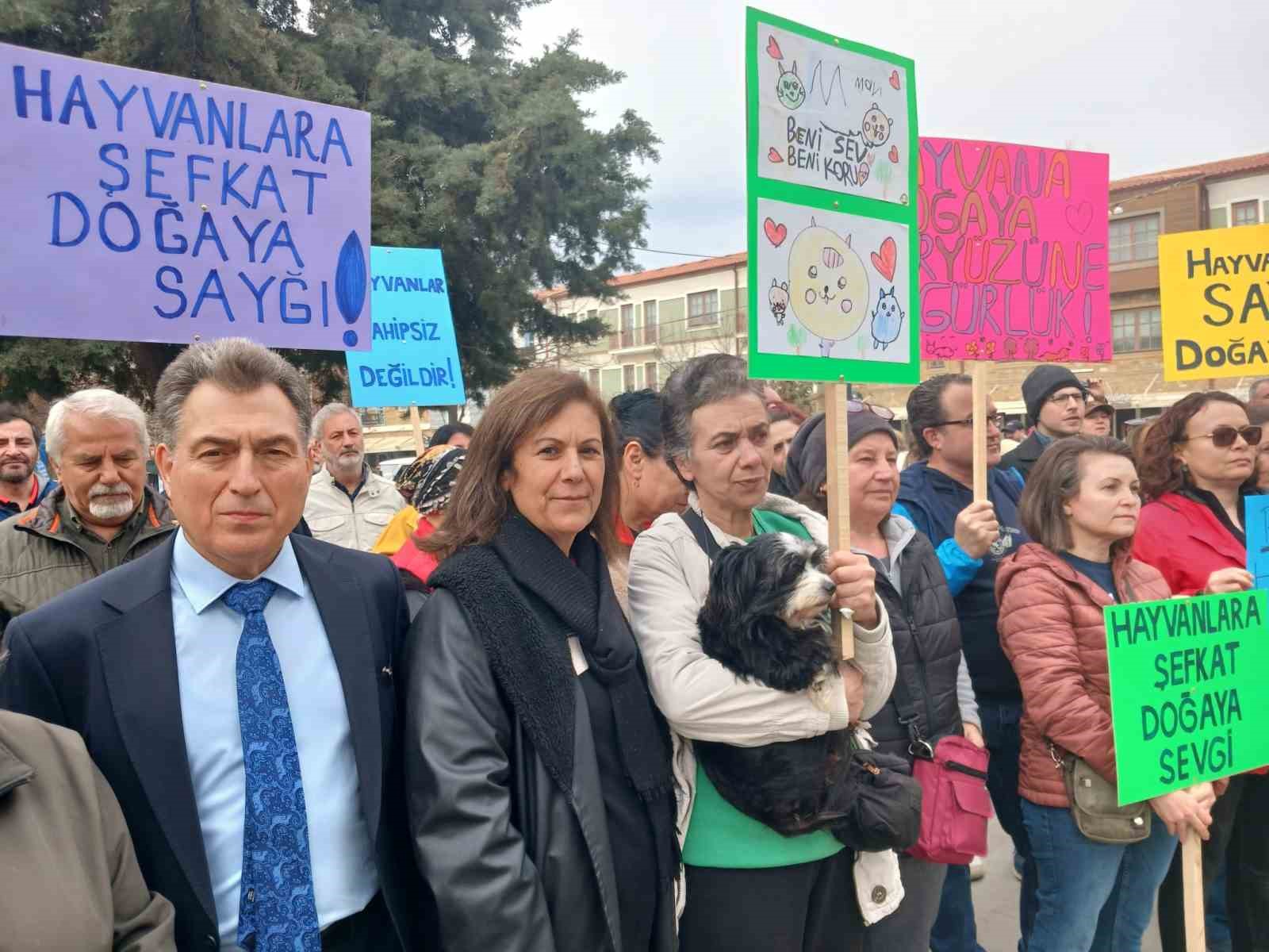 Gökçeada’da sokak hayvanlarının zehirlenmesine tepki