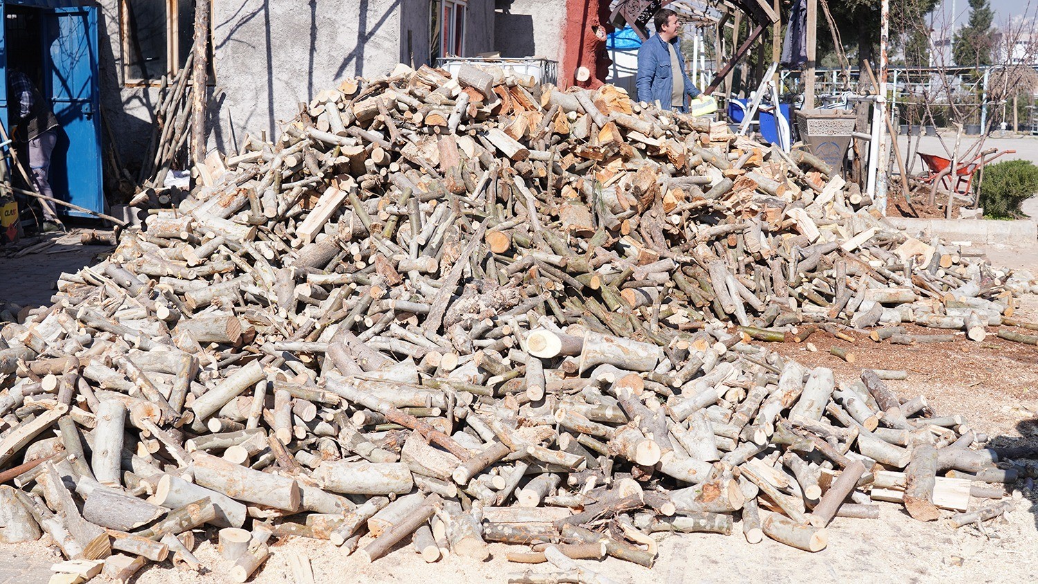 Dulkadiroğlu&rsquo;nda budanan ağa&ccedil;lar sosyal yardıma d&ouml;n&uuml;ş&uuml;yor
