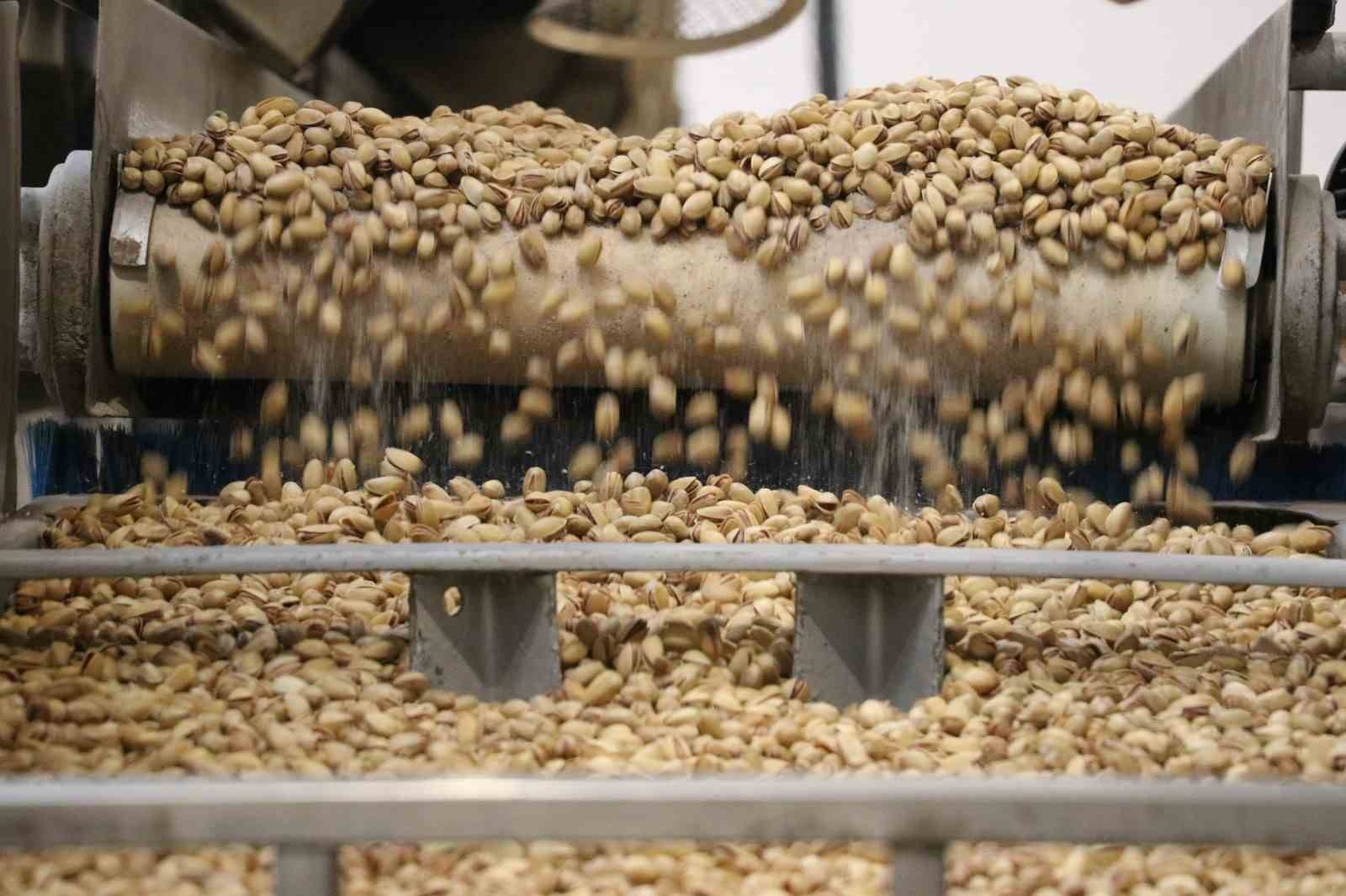 TÜİK, Siirt’in tarım ve hayvancılık verilerini açıkladı