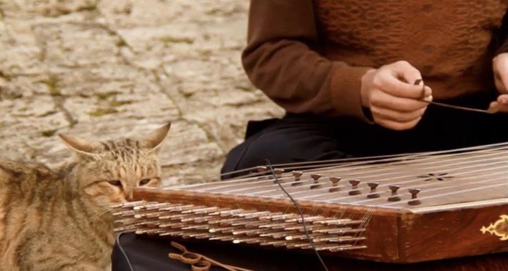 Y&uuml;ksekovalı gezgin &ouml;ğretmen bu sefer doğaya dikkat &ccedil;ekmek i&ccedil;in santur &ccedil;aldı
