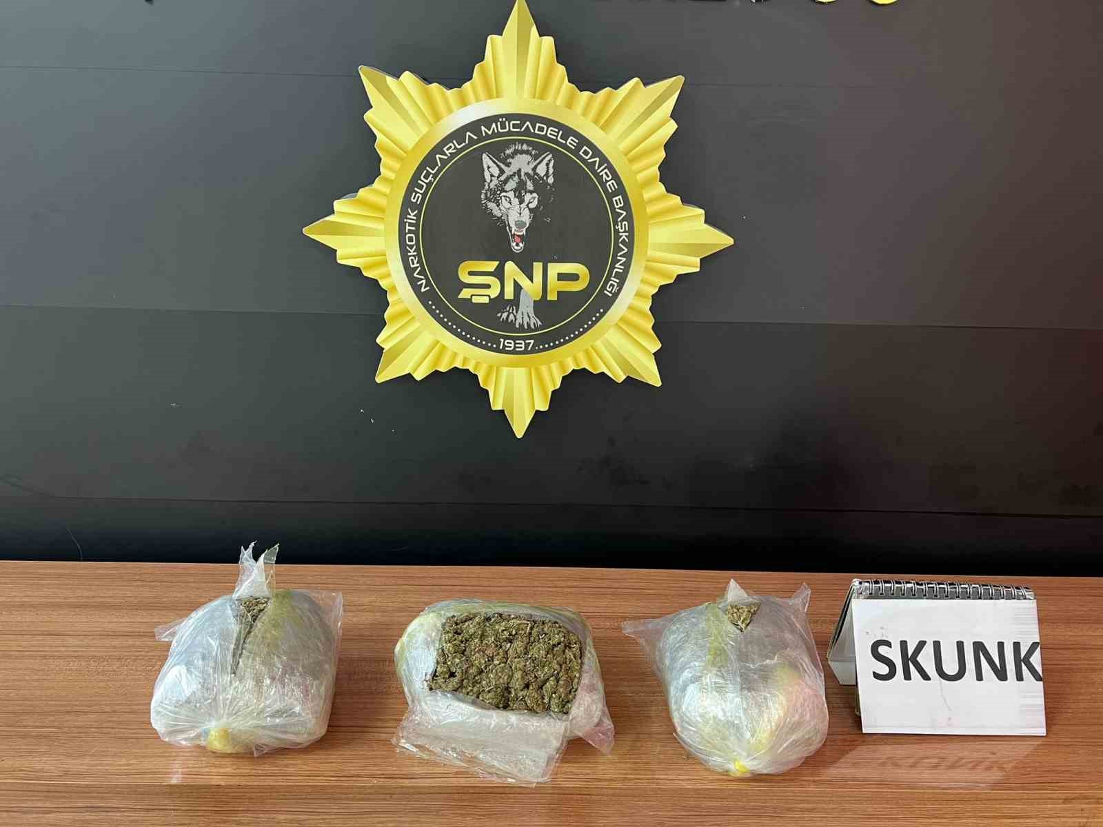 Şanlıurfa’da 1 kilo 600 gram skunk ele geçirildi