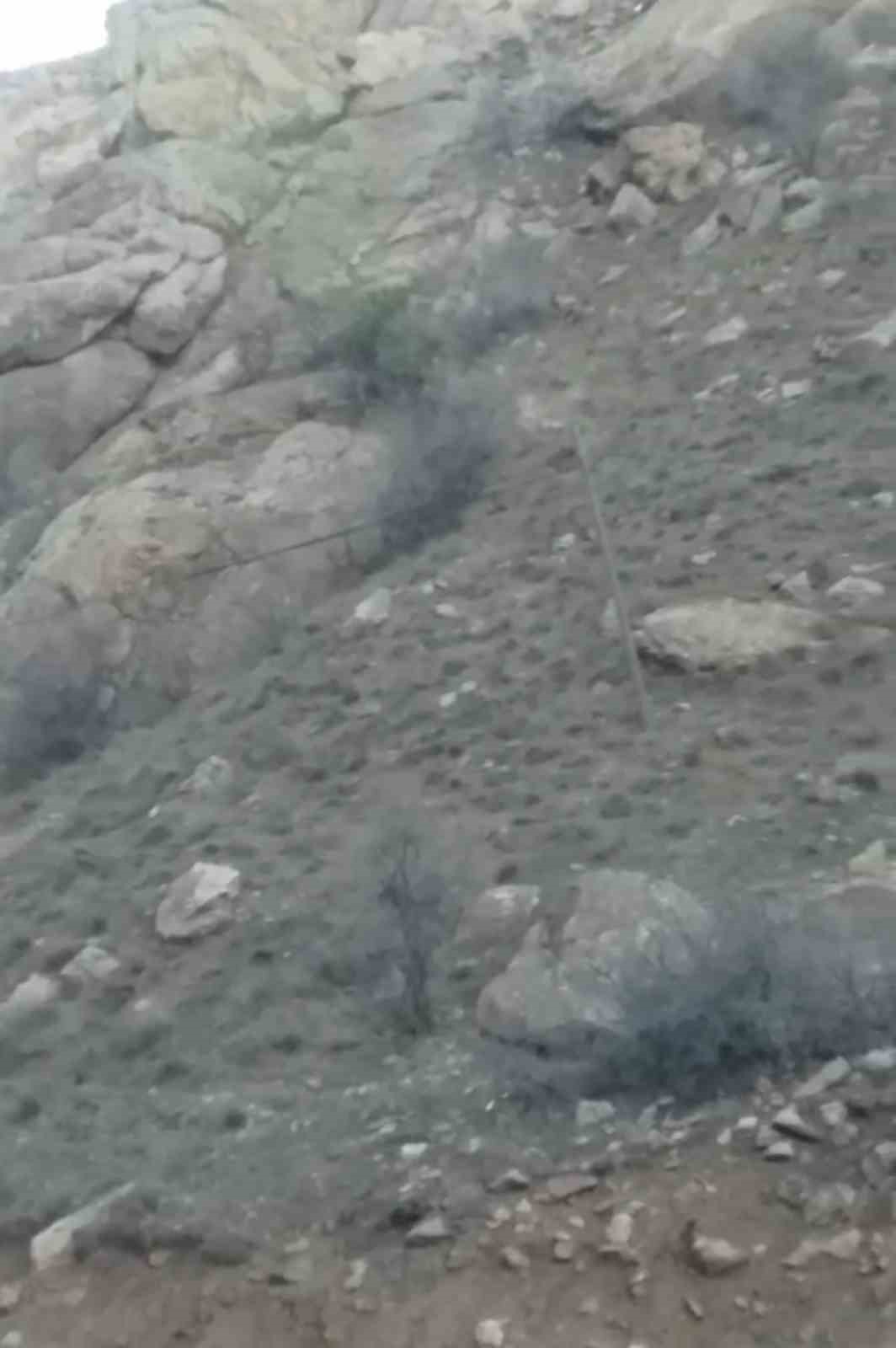 Y&uuml;ksekova&rsquo;da s&uuml;r&uuml; halindeki dağ ke&ccedil;ileri g&ouml;r&uuml;nt&uuml;lendi
