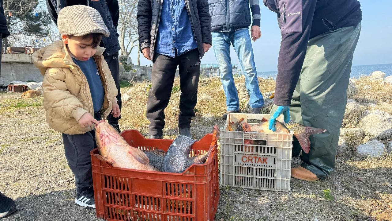 İznik Gölü’nde sazan bereketi
