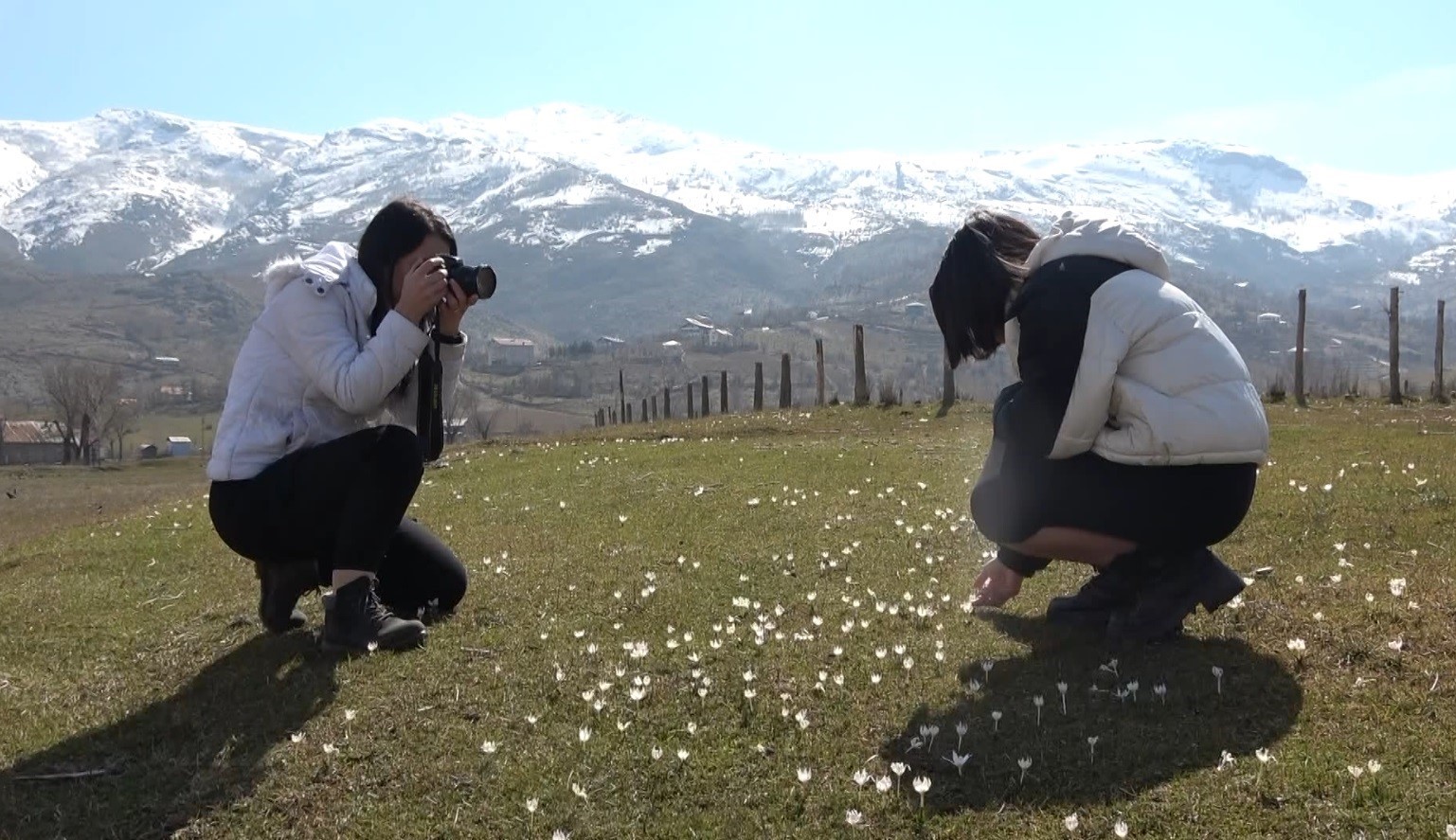 Muş’ta fotoğrafçılar kardelenlerin güzelliğini objektiflerine taşıdı
