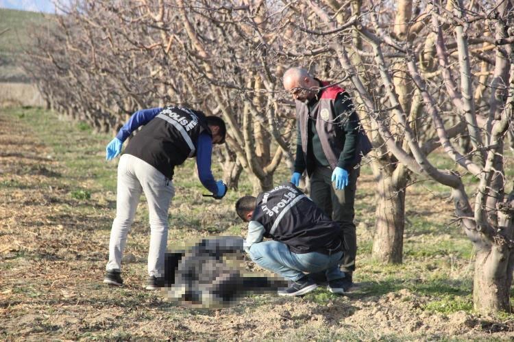 Yaşlı adam elma bahçesinde ölü bulundu
