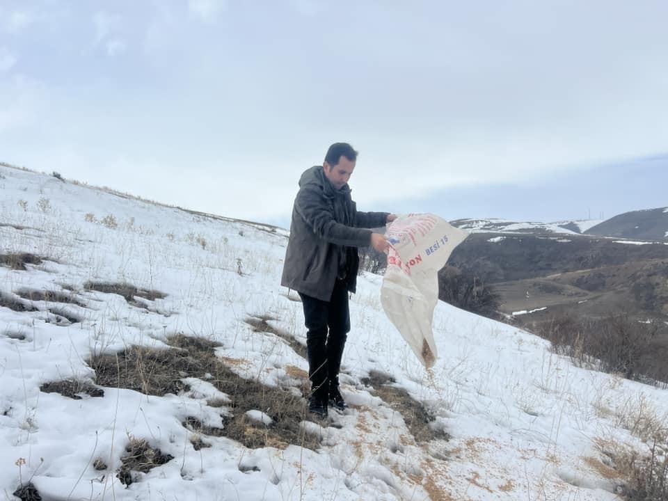 Kars&rsquo;ta yaban hayvanları i&ccedil;in doğaya yem bırakıldı
