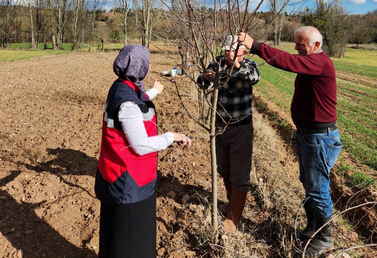 Hisarcık&rsquo;ta meyve ağa&ccedil;larında uygulamalı budama eğitimi
