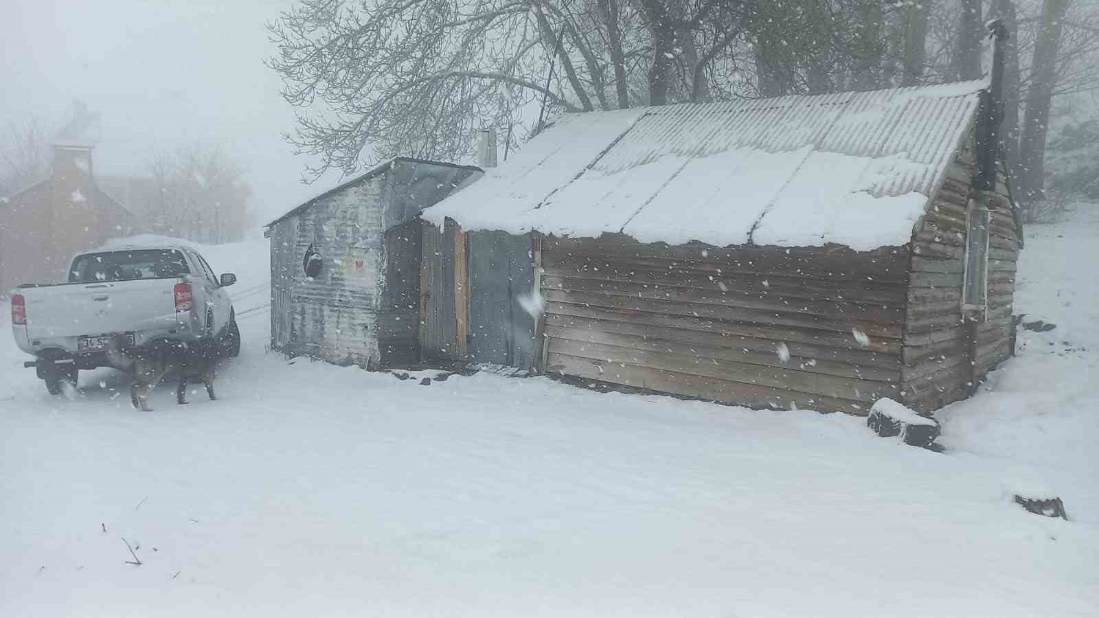 Tunceli’nin yüksek kesimlerinde kar yağışı etkili olmaya başladı
