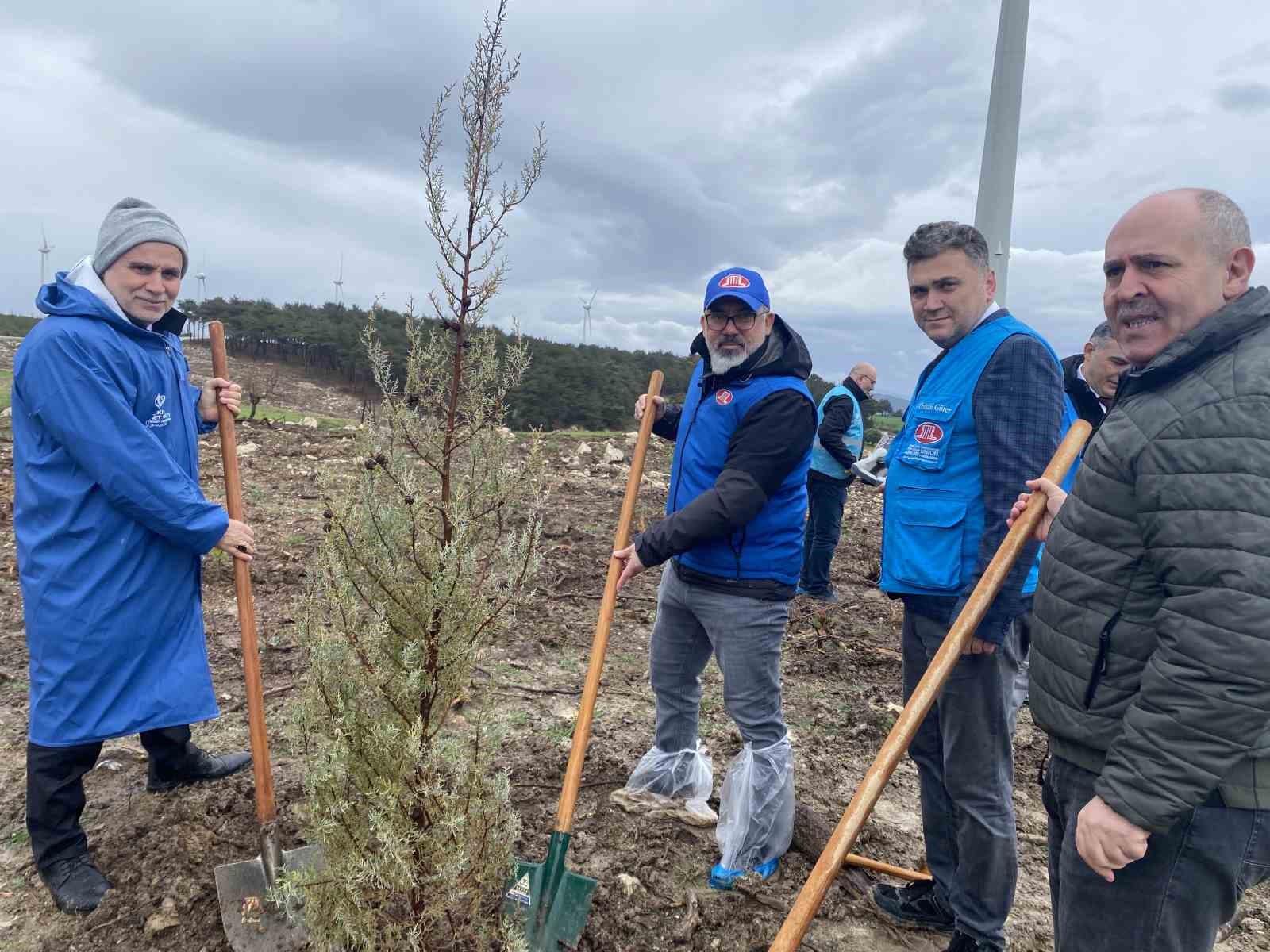 T&uuml;rkiye Diyanet Vakfı ve DİTİB iş birliğiyle 30 bin fidan toprakla buluştu

