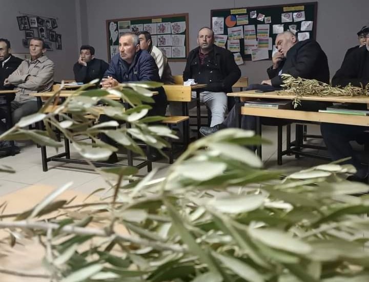 Sarıgöl’de zeytin budama kursu açıldı
