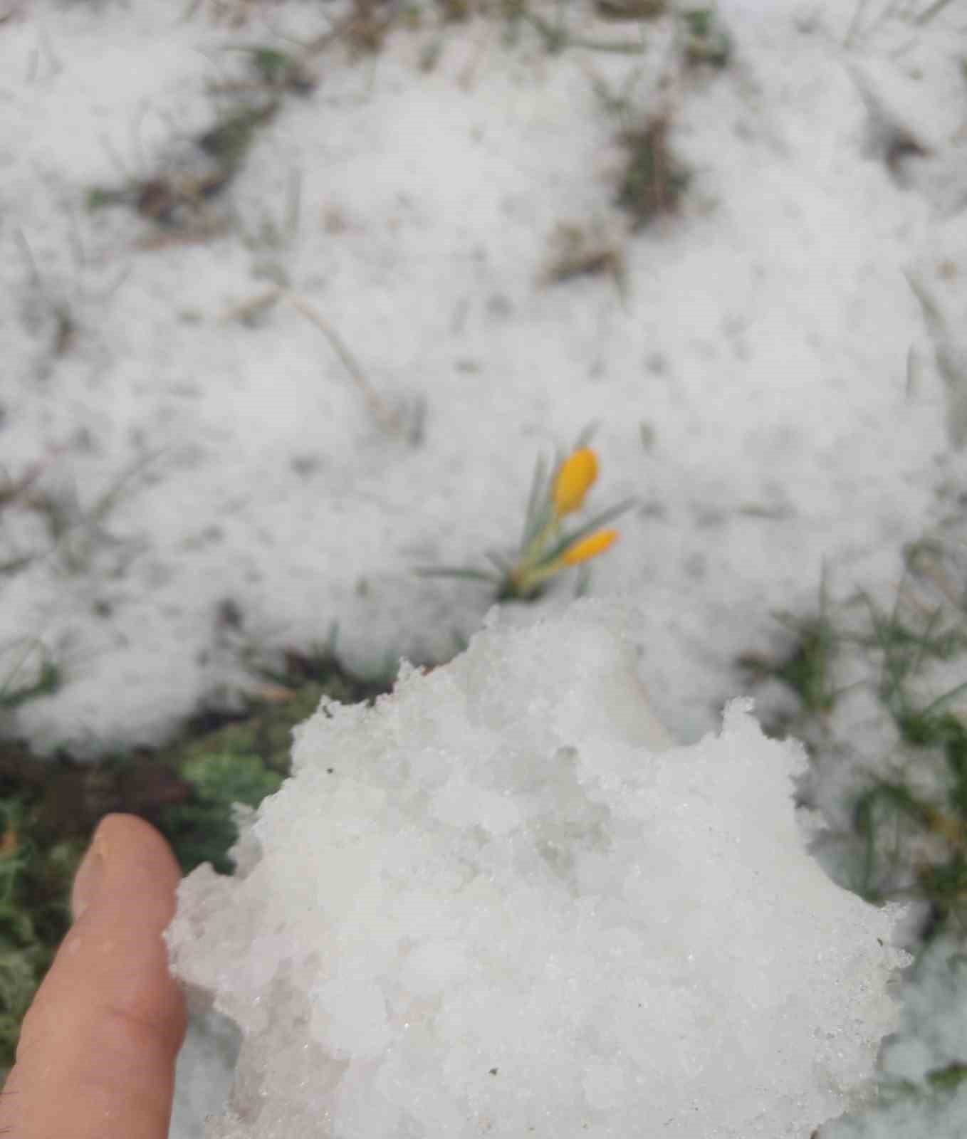Spil&rsquo;e yağan dolu kar manzarası oluşturdu
