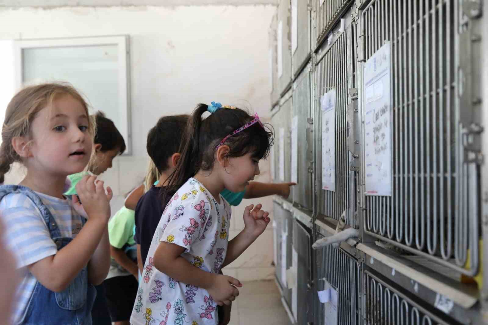 Bodrum Belediyesi’ne HAYTAP’tan tam not