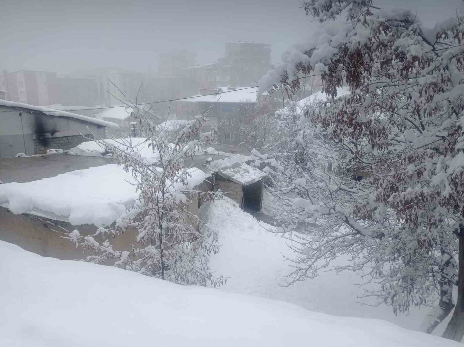 Hakkari’de kar yağışı yerini soğuk havaya bıraktı