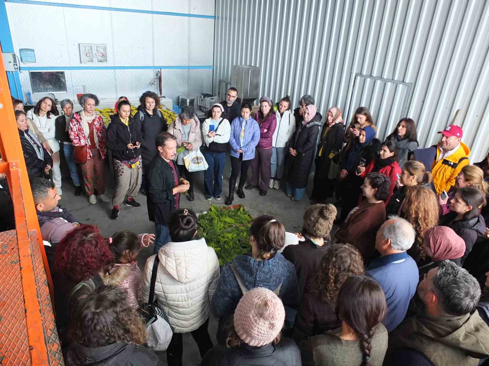 Burhaniye&rsquo;de Tıbbı Aromatik Bitki Yetiştiriciliği Kursu tamamlandı
