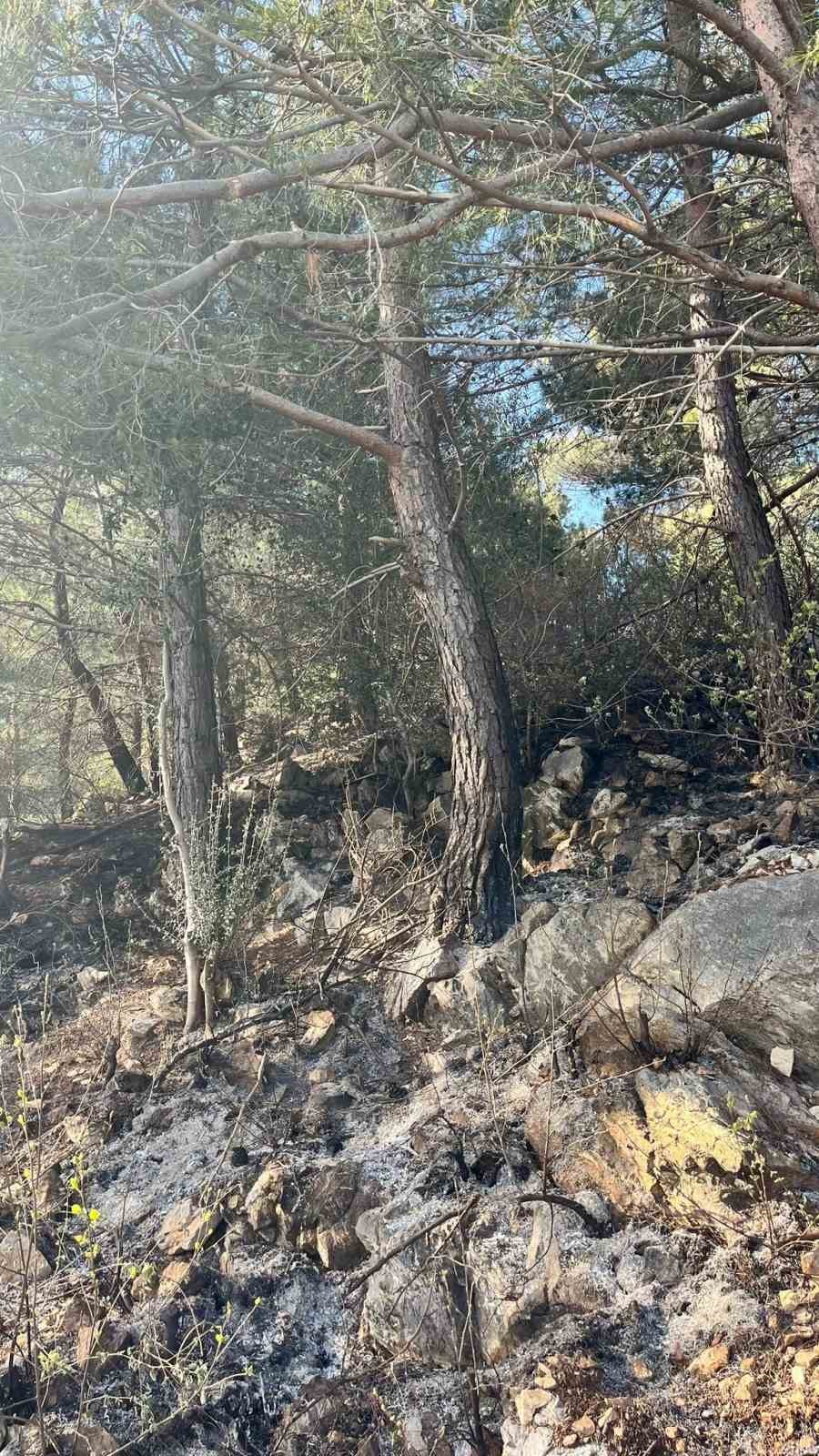 Kazdağları&rsquo;nda orman yangını
