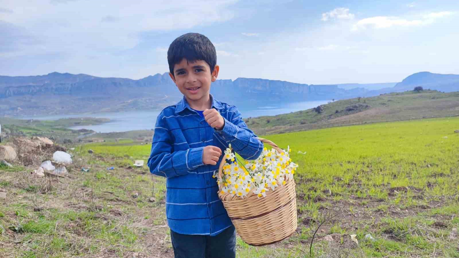 Gegrer&rsquo;deki doğal nergis tarlasına ziyaret&ccedil;i akını
