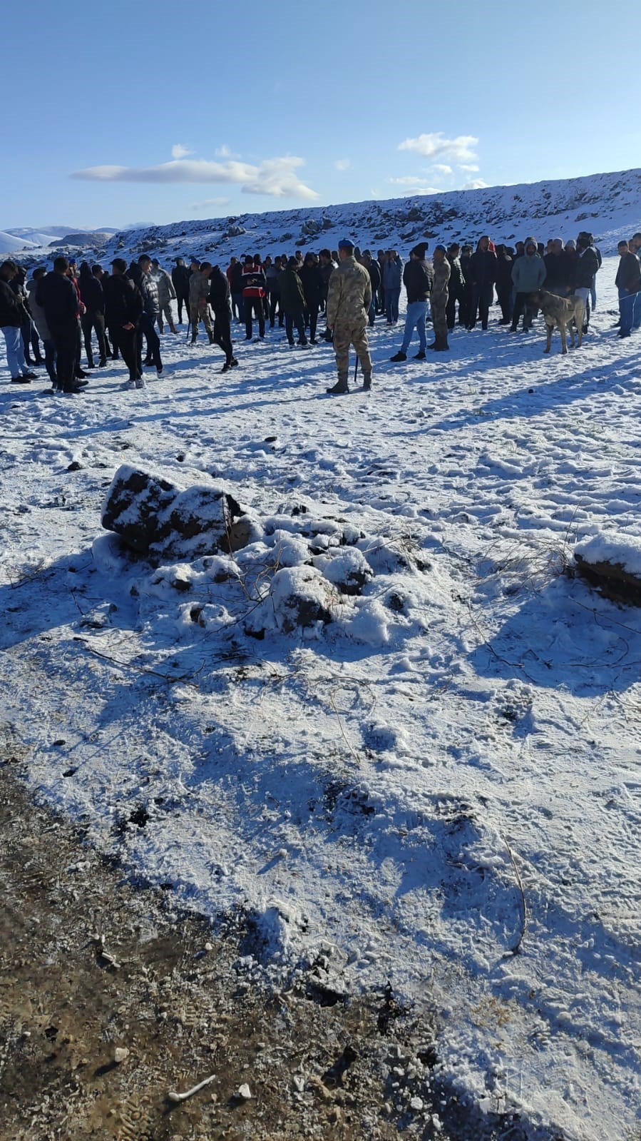 Niğde’de köpek dövüştüren 83 kişi suçüstü yakalandı
